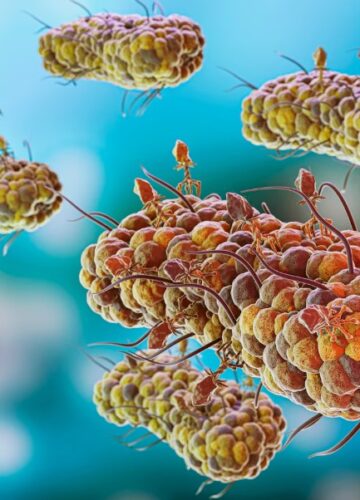 ICD 10 Codes From A30-A49